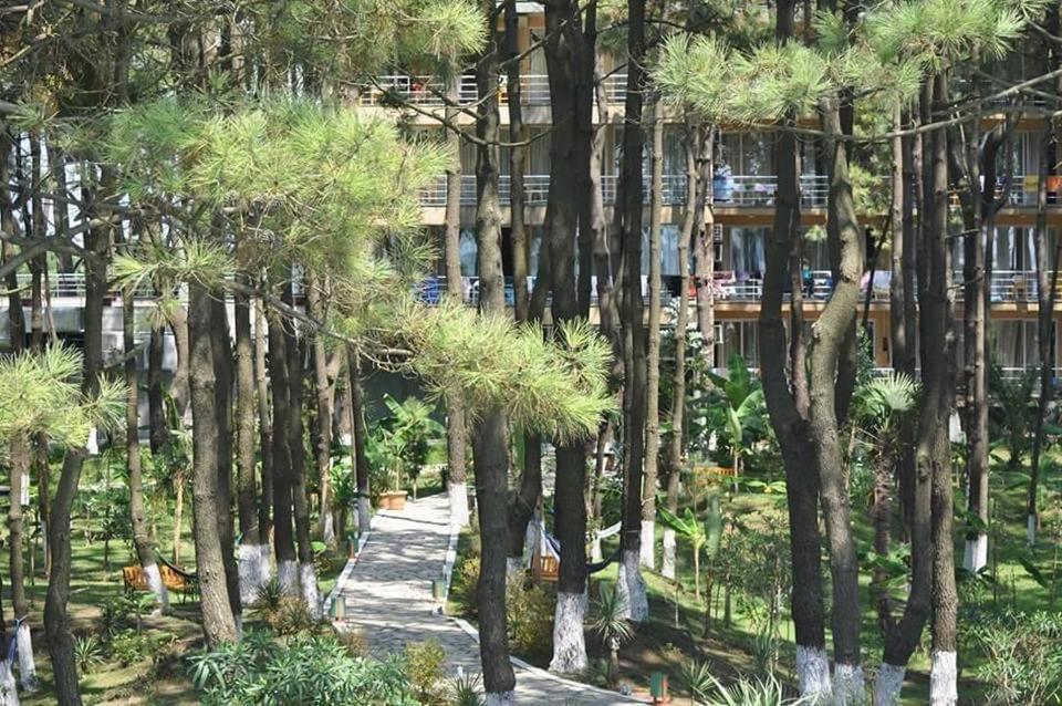 Andamati Beach Resort Grigoleti Ngoại thất bức ảnh