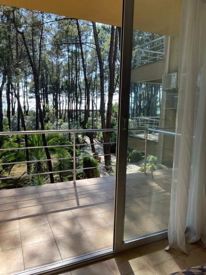 Andamati Beach Resort Grigoleti Ngoại thất bức ảnh
