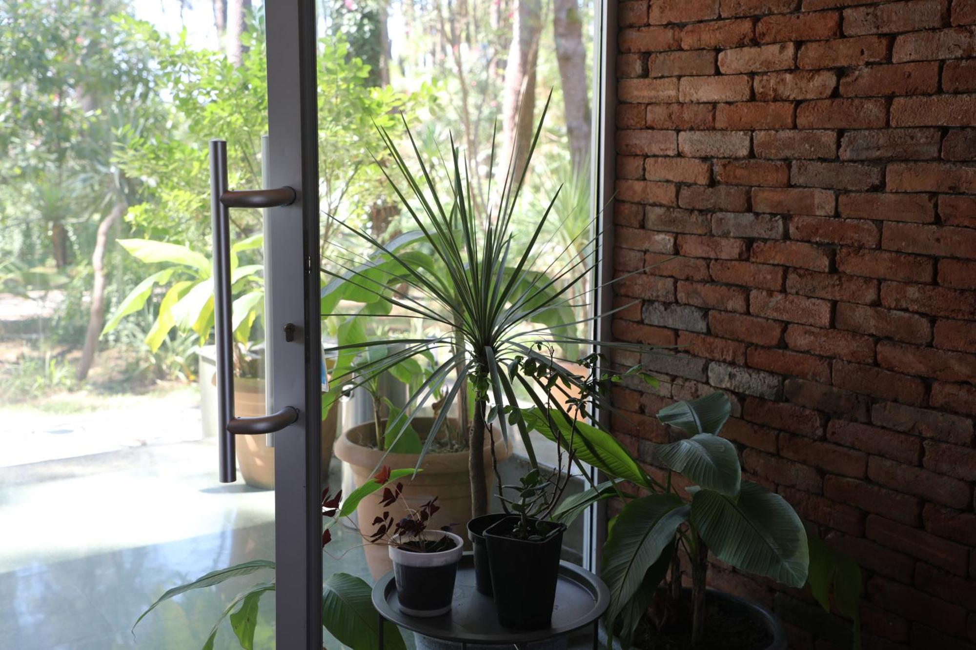 Andamati Beach Resort Grigoleti Ngoại thất bức ảnh