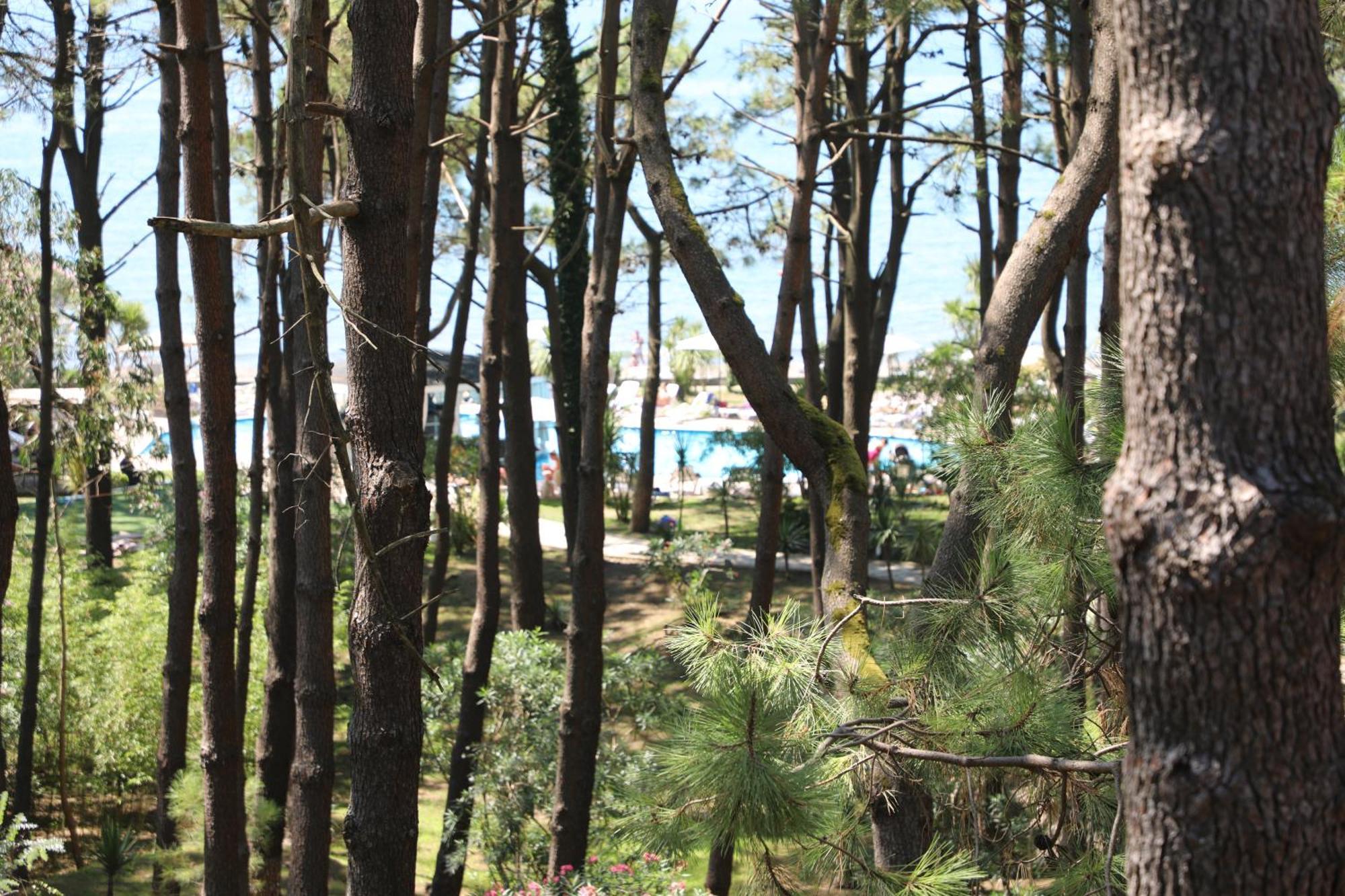 Andamati Beach Resort Grigoleti Ngoại thất bức ảnh